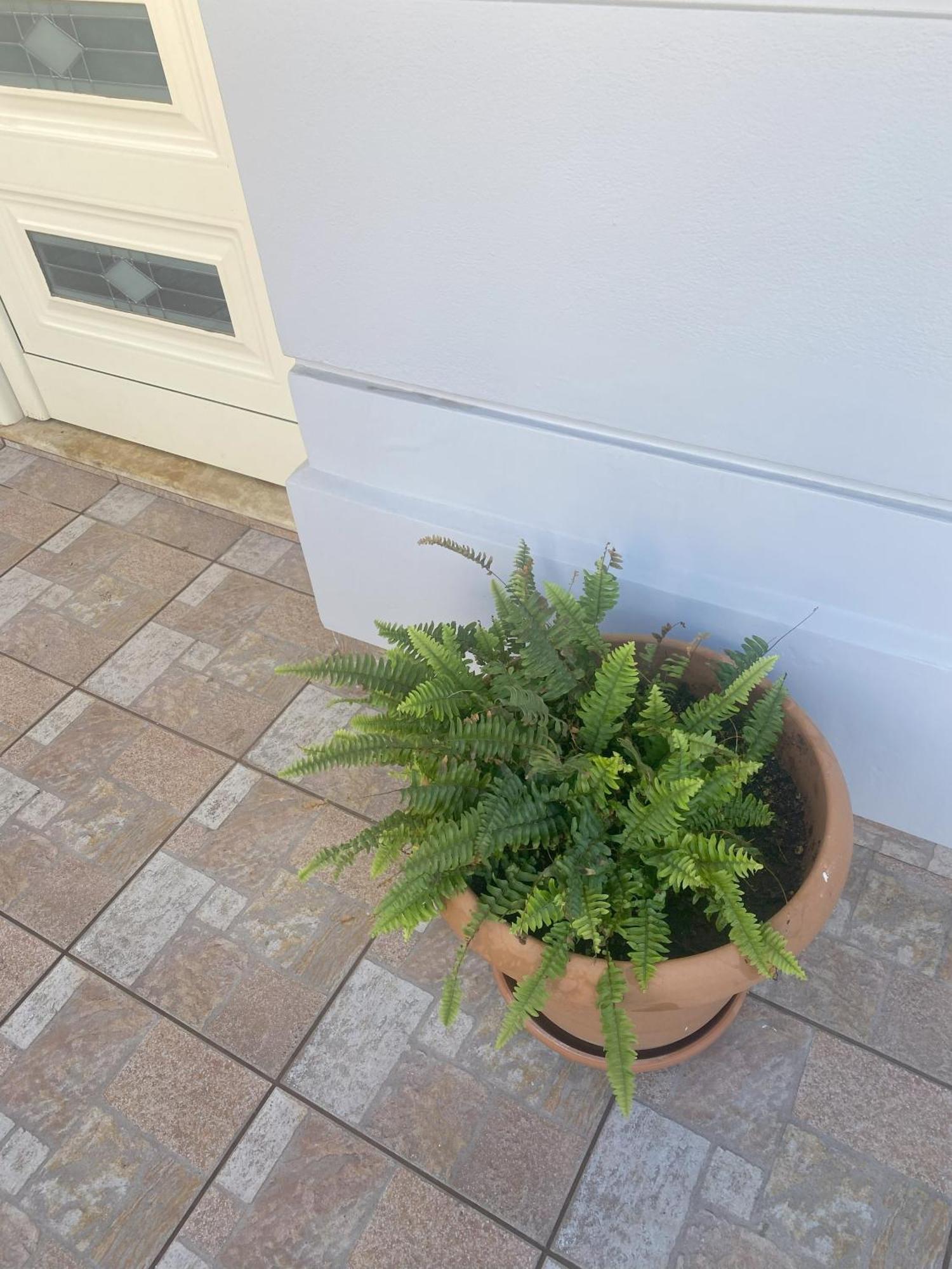 New Unique Apartment In Heraklion Exterior foto